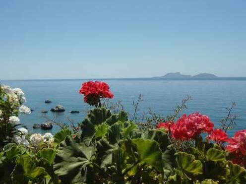 Nikos Place - Photo2