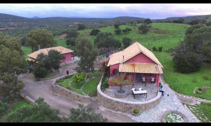 Efcaliptos cottage