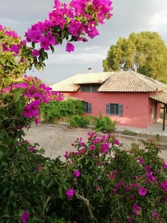 Efcaliptos cottage - Photo2