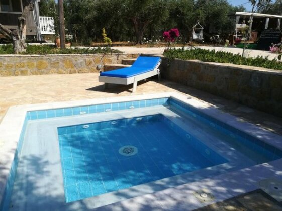 Hakuna Matata Holidays Calida with pool in Greek Olive Grove - Photo3