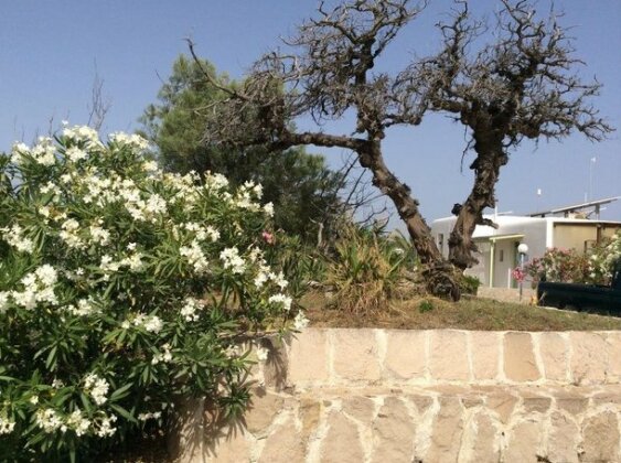 Achivadolimni Camping - Photo3
