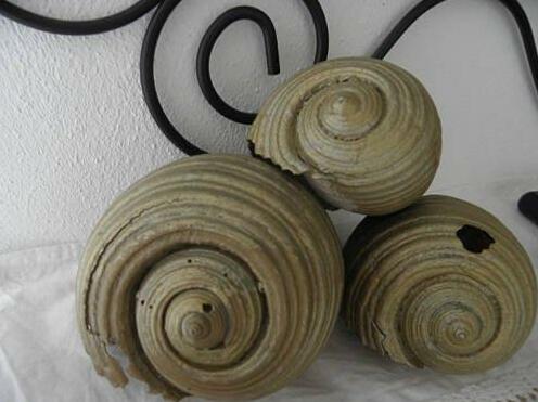 Litsa Malli Rooms - Photo2