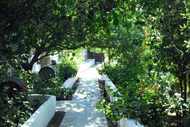 Milos Garden - Photo3