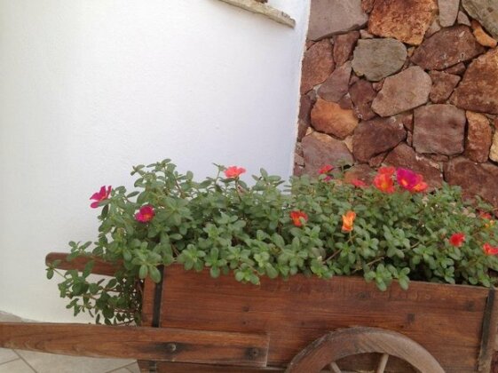 Niriides Milos - Photo3