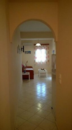 Stolidi - Photo2