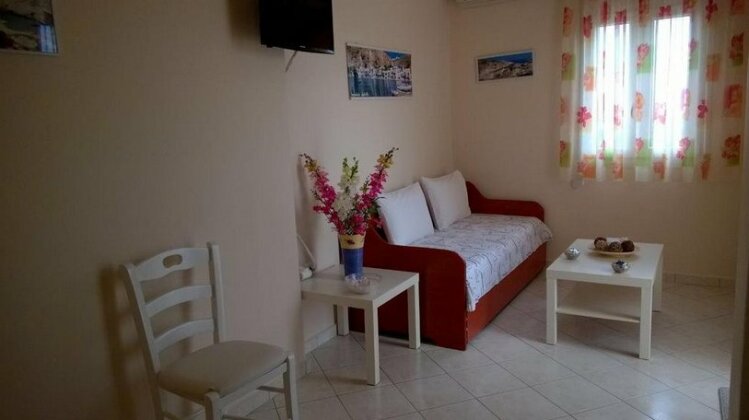 Stolidi - Photo5