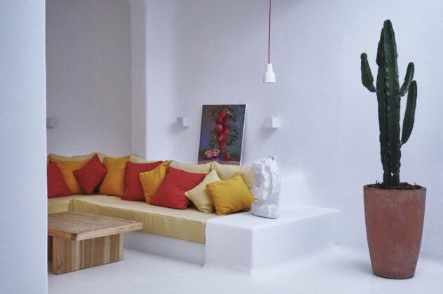 Ficus Villa Mykonos - Photo5