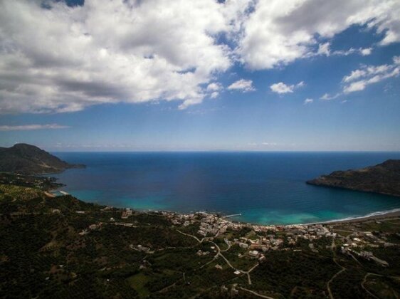Elgina - Photo3