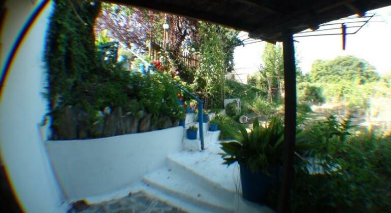 Perix House - Photo4