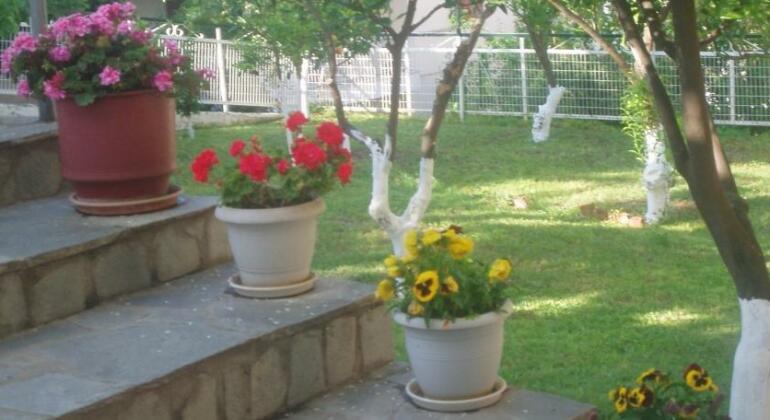 Rania House - Photo2