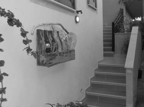 Dominici - Photo2