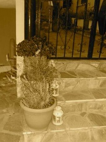 Dominici - Photo4