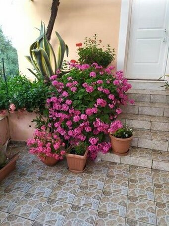Garden Of Olive Trees - Photo3