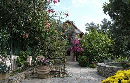 Olive Tree Cottages - Photo5