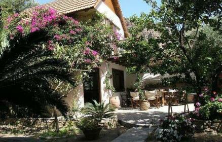 Olive Tree Cottages