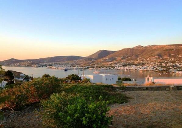 Blue Bay Heliolithos - Photo5