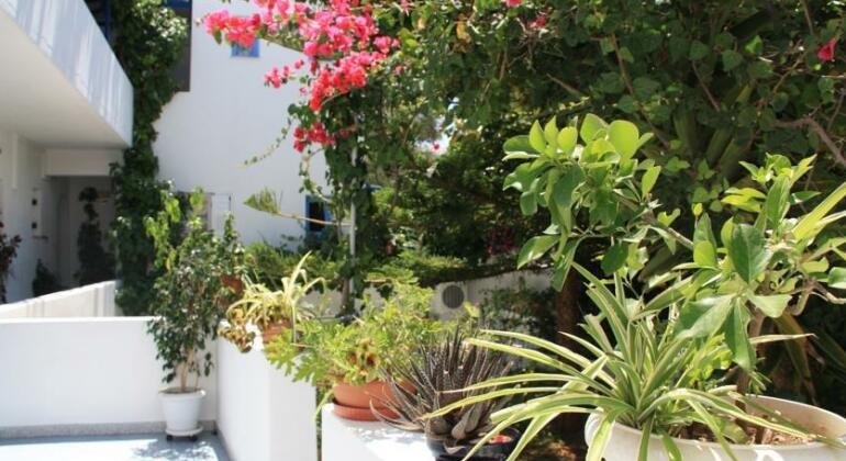 Loukia Apartments & Studios - Photo3