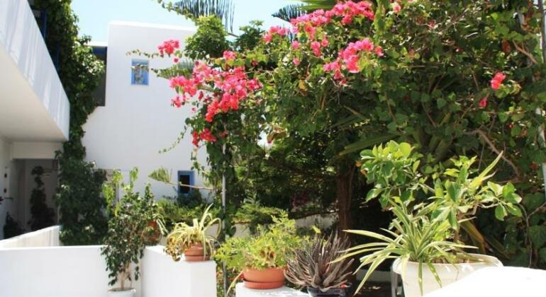 Loukia Apartments & Studios - Photo4