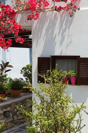 Pension Anna Paros - Photo4