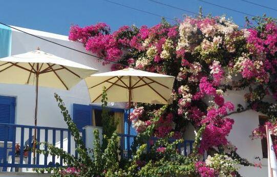 Stergia Hotel - Photo5