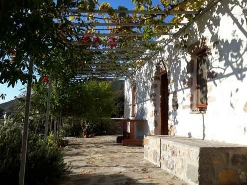 Ampelonas Country House - Photo2
