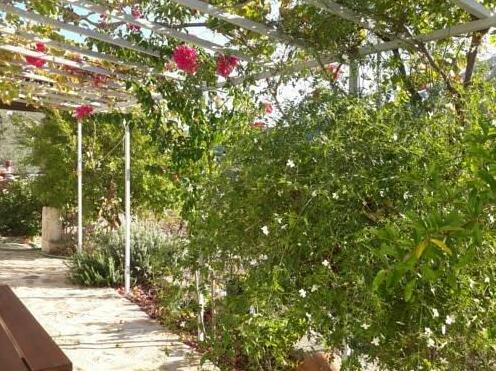 Ampelonas Country House - Photo3