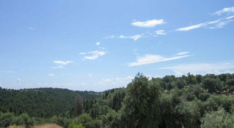 Villa Emily Paxi - Photo4
