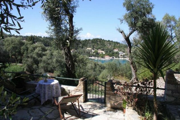 Villa olive Paxi - Photo4