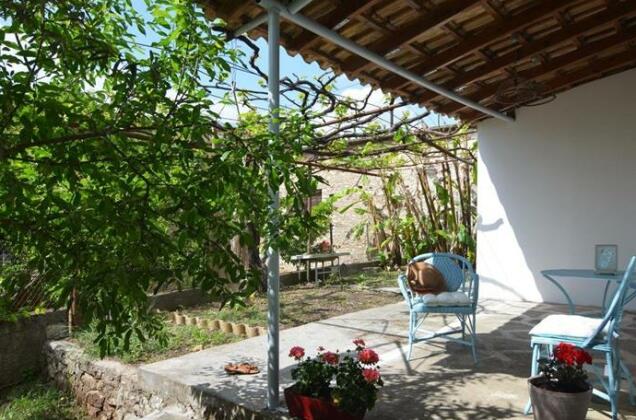 Studio Blue Petalidi - Photo3