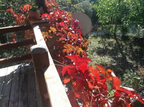 Mountain Villa Phocis - Photo4