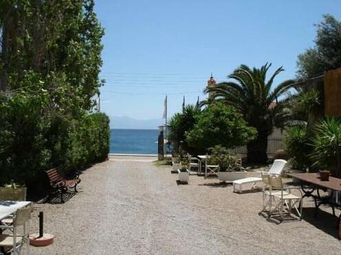 Oasis Apartments Phocis - Photo2