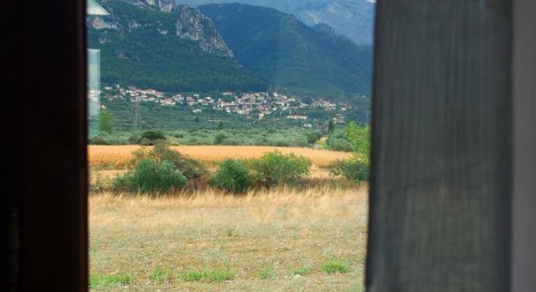 Agroktima Tithorea - Photo5