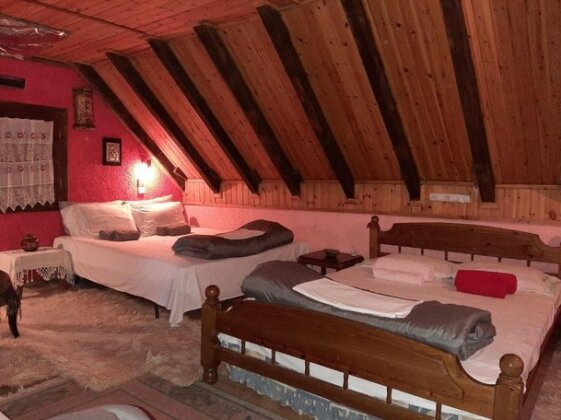 Forest House Phthiotis - Photo4