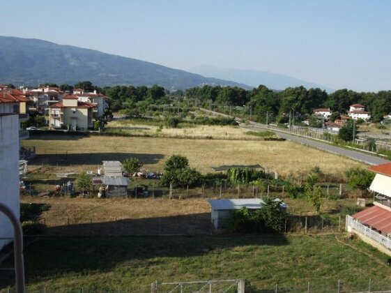 Hotel Metropole Pieria - Photo5