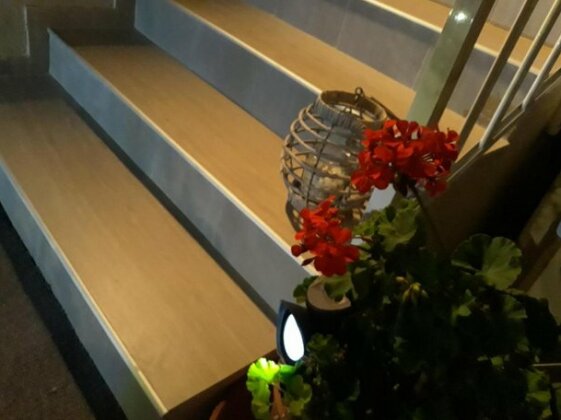 Eleni Apartment Pigi - Photo3
