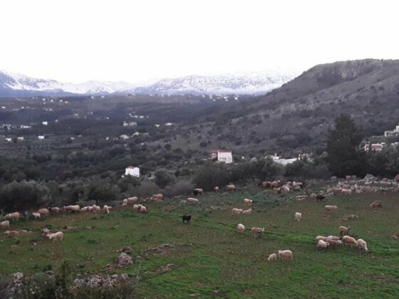 Alpha House Plaka - Photo2