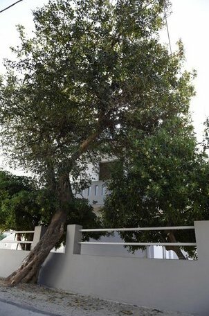 Dimitris' & Valentina's Home - Photo5