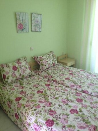 Erato1 - Photo2