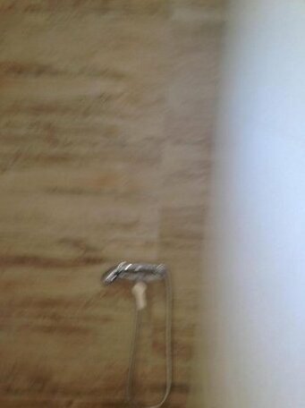 Erato1 - Photo3