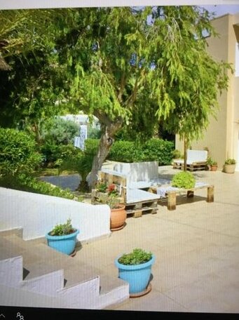 Erato1 - Photo5