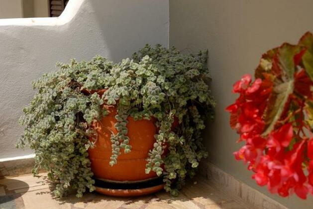 Pension Kyriakos - Photo2