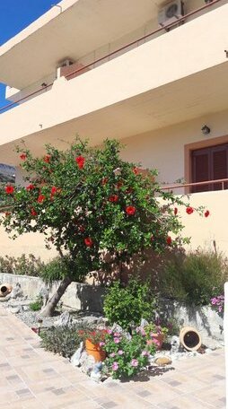 Villa Dora Plakias - Photo5