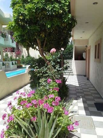 Amaril - Photo2