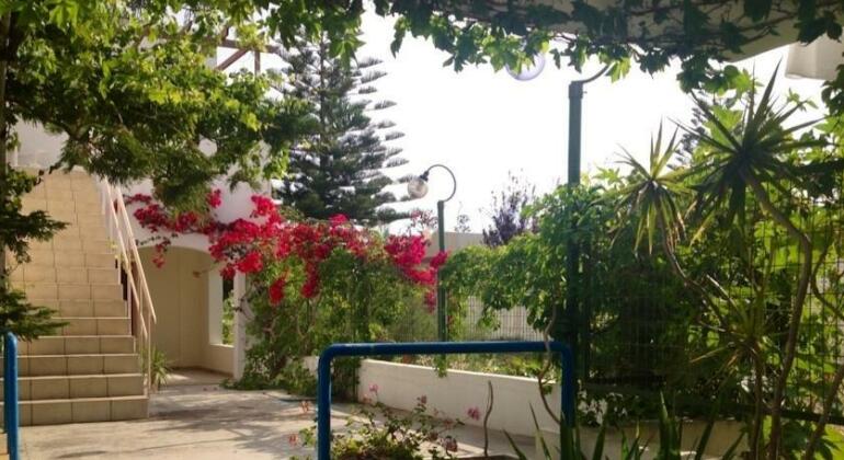 Oleander - Photo2