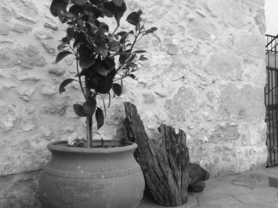 Picturesque Traditional Stone House - Photo2