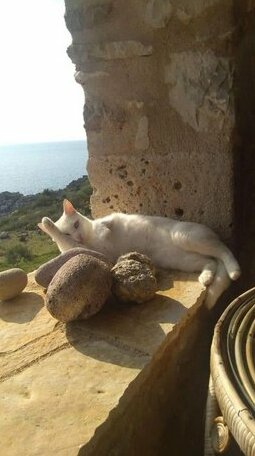 Pogonitsa - Photo3