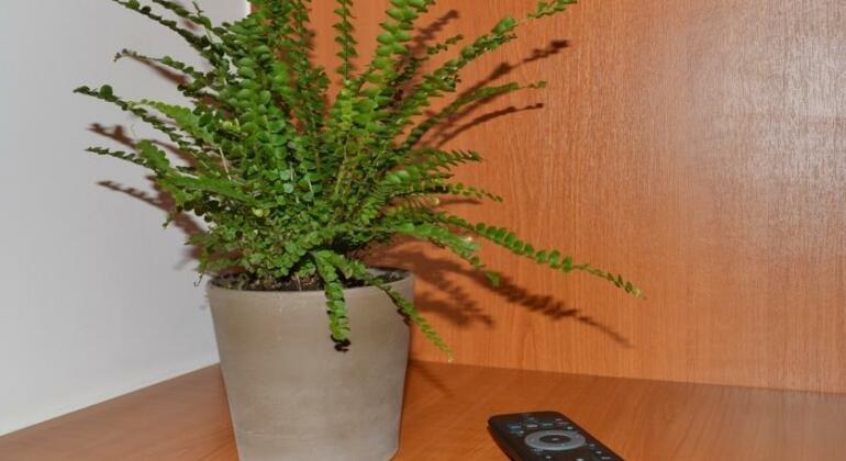 Saga Hotel Poros - Photo5