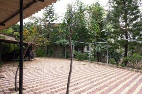 Villa Gorgona - Photo3