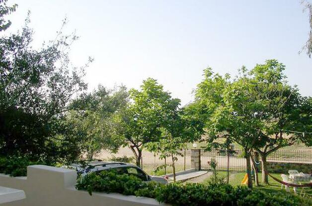 Avgerou Studios and Apartments - Photo2