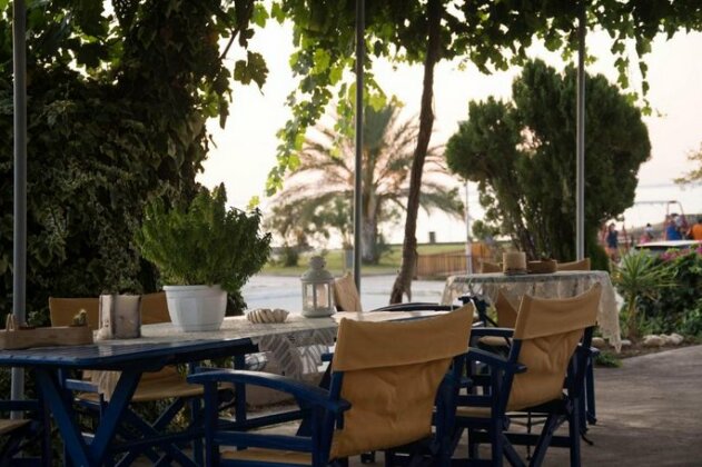 Palm Tree Apartments - Photo4